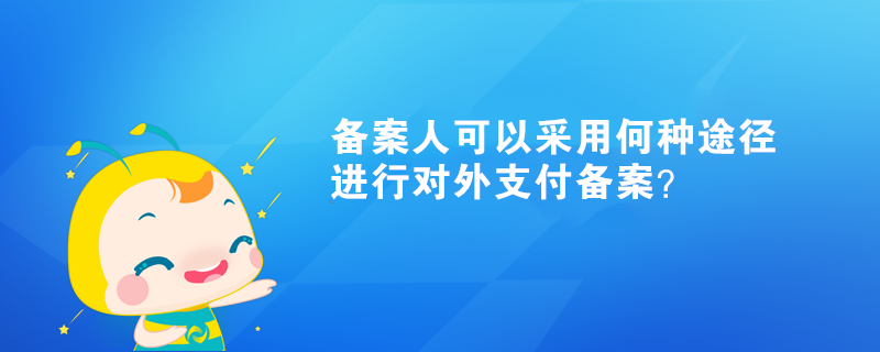 備案人可以采用何種途徑進(jìn)行對外支付備案？