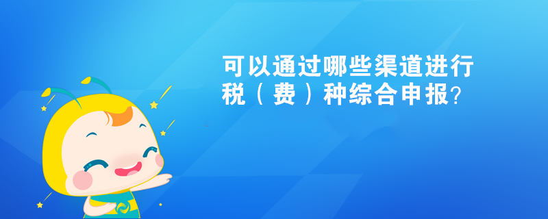 可以通過哪些渠道進(jìn)行稅（費(fèi)）種綜合申報(bào)？