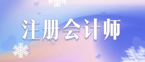 2022年注冊(cè)會(huì)計(jì)師考試《財(cái)管》練習(xí)題精選（十七）