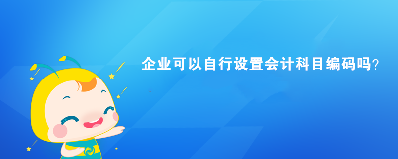 企業(yè)可以自行設(shè)置會計科目編碼嗎？