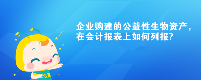 企業(yè)購(gòu)建的公益性生物資產(chǎn)，在會(huì)計(jì)報(bào)表上如何列報(bào)?