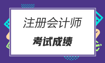 廣東2021注冊會(huì)計(jì)師的成績查詢時(shí)間