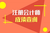 如何查詢注冊(cè)會(huì)計(jì)師考試成績(jī)？