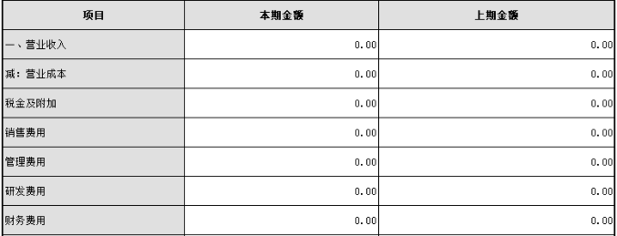 報(bào)表的期間選項(xiàng)為本期金額和上期金額