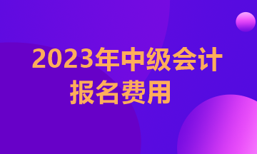 浙江2023年中級會計師報名費多少錢一科？