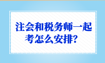 注會和稅務師一起考怎么安排？