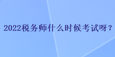 2022稅務(wù)師什么時候考試呀？