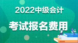 中級(jí)會(huì)計(jì)職稱報(bào)名費(fèi)多少錢上海？