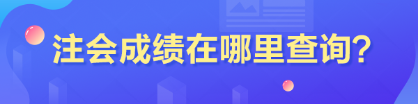 山東省注冊會計師成績在哪里查啊？