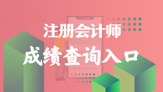 河南省的2022年注冊會計師考試成績在哪里查？