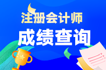 海南省2022年注會成績什么時候查詢？