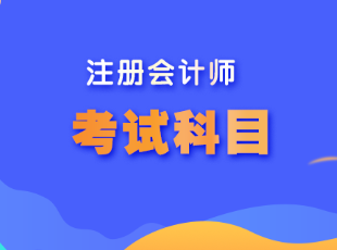 廣東cpa考試科目是什么？