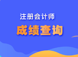 江西省注冊(cè)會(huì)計(jì)師成績(jī)查詢(xún)?cè)谀睦锊樵?xún)？