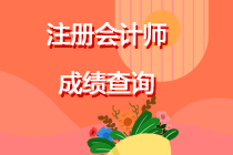 什么時(shí)間查詢注冊(cè)會(huì)計(jì)師考試成績(jī)？