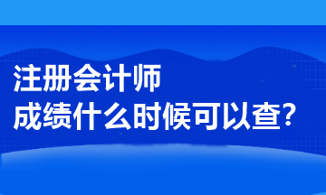 注冊會計師成績什么時候可以查？