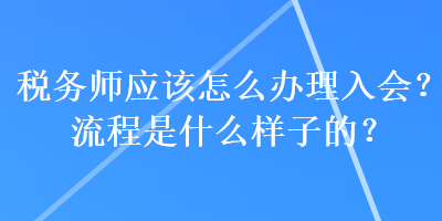 稅務(wù)師應(yīng)該怎么辦理入會(huì)？流程是什么樣子的？