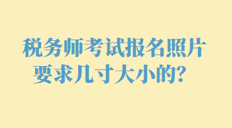 稅務(wù)師考試報名照片要求幾寸大小的？