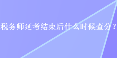 稅務(wù)師延考結(jié)束后什么時候查分？