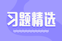 2023初級審計師《審計理論與實務(wù)》練習(xí)題精選（二十六）