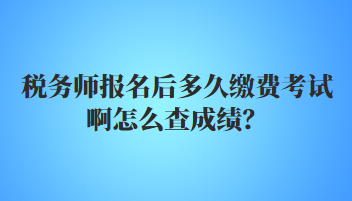 稅務(wù)師報名后多久繳費考試啊怎么查成績？