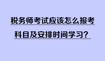 稅務師考試應該怎么報考科目及安排時間學習？