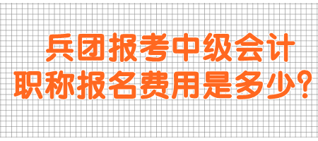 兵團報考中級會計職稱報名費用是多少？