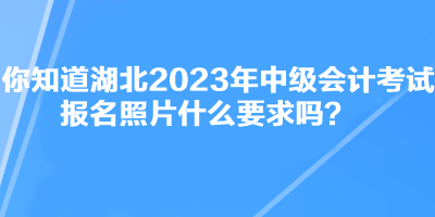 你知道湖北2023年中級會(huì)計(jì)考試報(bào)名照片什么要求嗎？