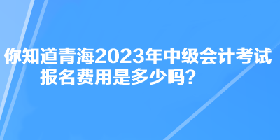 你知道青海2023年中級(jí)會(huì)計(jì)考試報(bào)名費(fèi)用是多少嗎？