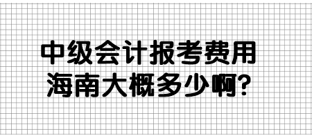 中級(jí)會(huì)計(jì)報(bào)考費(fèi)用海南大概多少啊