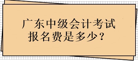 廣東中級(jí)會(huì)計(jì)考試報(bào)名費(fèi)用是多少？