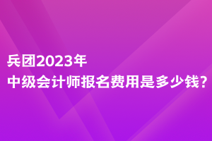 兵團(tuán)2023年中級(jí)會(huì)計(jì)師報(bào)名費(fèi)用是多少錢？