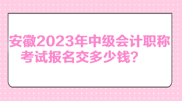 安徽2023年中級會(huì)計(jì)職稱考試報(bào)名交多少錢？