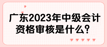 廣東2023年中級(jí)會(huì)計(jì)資格審核是什么？