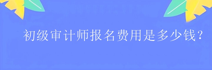 初級審計師報名費用是多少錢？