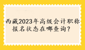 西藏2023年高級會計職稱報名狀態(tài)在哪查詢？