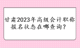 甘肅2023年高級(jí)會(huì)計(jì)職稱(chēng)報(bào)名狀態(tài)在哪查詢(xún)？