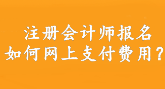 注冊(cè)會(huì)計(jì)師報(bào)名如何網(wǎng)上支付費(fèi)用？