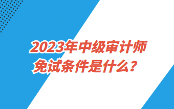 2023年中級審計師免試條件是什么？