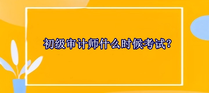 初級(jí)審計(jì)師什么時(shí)候考試？