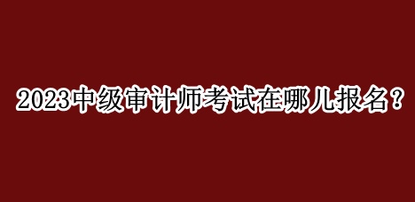 2023中級(jí)審計(jì)師考試在哪兒報(bào)名？