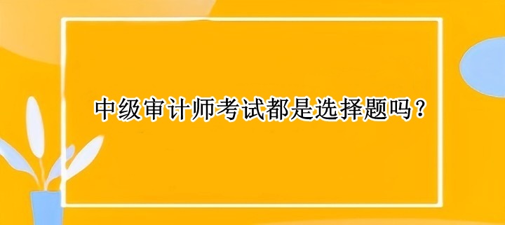 中級(jí)審計(jì)師考試都是選擇題嗎？