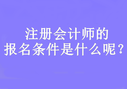 注冊會計(jì)師的報(bào)名條件是什么呢？要求大專及以上學(xué)歷