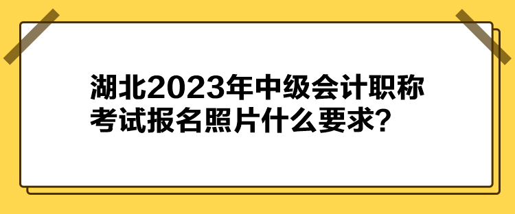 湖北2023年中級(jí)會(huì)計(jì)職稱(chēng)考試報(bào)名照片什么要求？