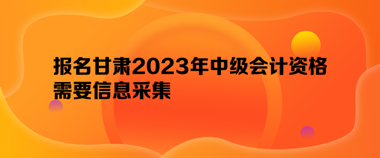 報(bào)名甘肅2023年中級(jí)會(huì)計(jì)資格需要信息采集