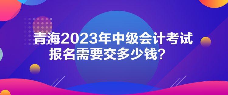 青海2023年中級(jí)會(huì)計(jì)考試報(bào)名需要交多少錢？