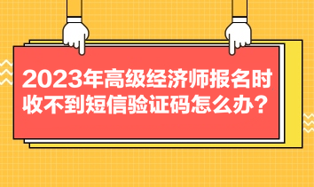 2023年高級經(jīng)濟師報名時收不到短信驗證碼怎么辦？