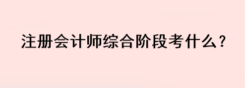 注冊會計師綜合階段考什么？