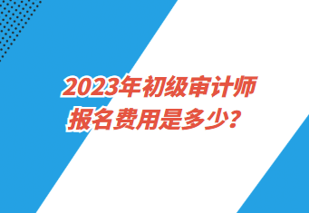 2023年初級審計(jì)師報(bào)名費(fèi)用是多少？