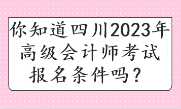 你知道四川2023年高級(jí)會(huì)計(jì)師考試報(bào)名條件嗎？