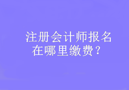 注冊會計師報名在哪里繳費？